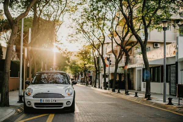 Atelier diy : fabriquez vos propres cosmétiques naturels à partir de plantes de votre région